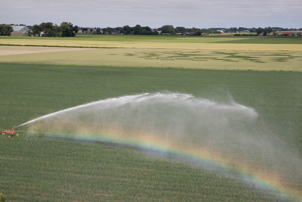 Gemeenten en waterschappen bezorgd over teruggang grasland