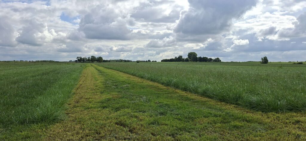 Droger inkuilen verlaagt methaan