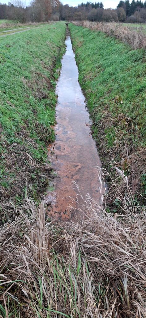 Tweede Kamer tegen mestplan Wiersma