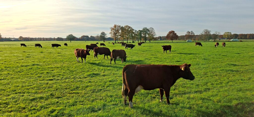 Provinciale Staten Gelderland vóór Kadernota Agrifood 2021-2030