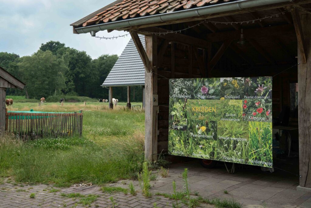 Workshop over het voeren van kruiden aan melkvee