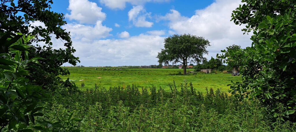 Pachtnorm stijgt vrijwel in hele land
