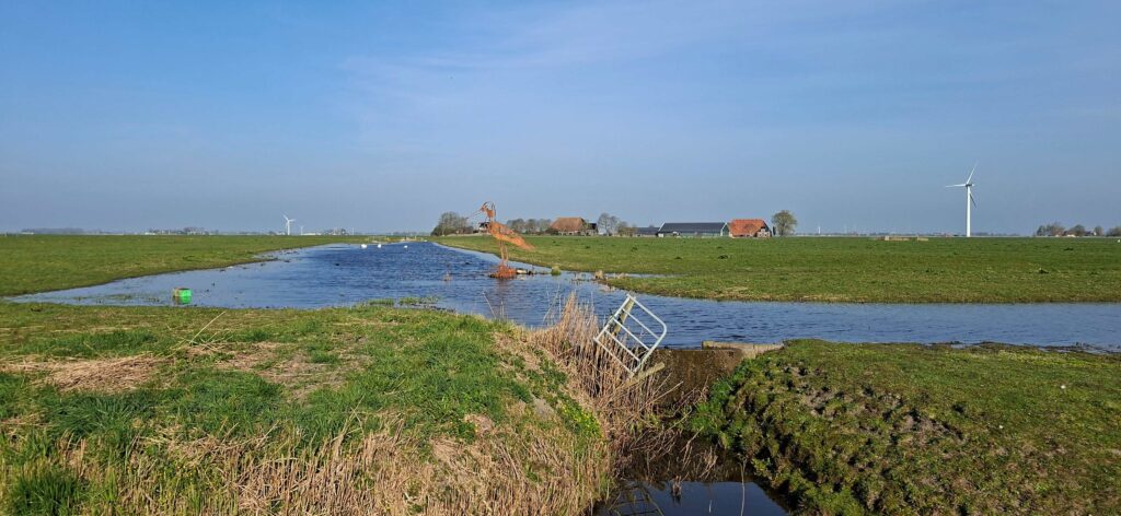 Bio-melkveehouder Breeuwsma wint Gouden Grutto
