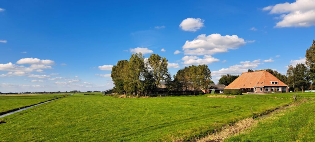 EU akkoord met Friese compensatie-aanpak in veenweidegebieden
